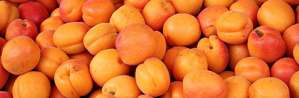 R.JELINEK PRUNUS ARMENIACA 24% 700ml
