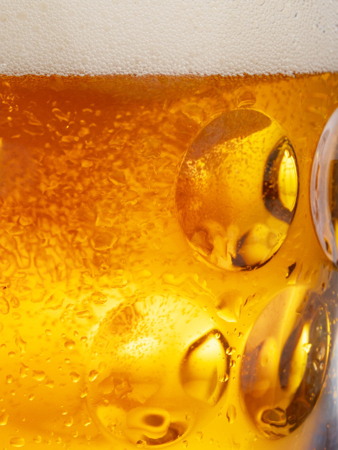 BAKALAR DRY HOPPED LAGER 5.2%