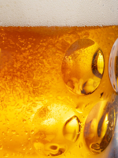 BAKALAR DRY HOPPED LAGER 5.2%