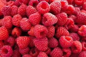 R.JELINEK RUBUS IDAEUS 24% 700ml