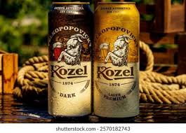 VELKOPOPOVICKY KOZEL PALE 4.9% 24x500ml
