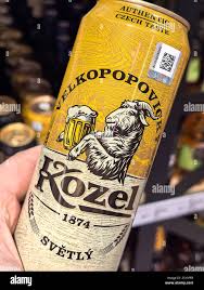 VELKOPOPOVICKY KOZEL PALE 4.9% 24x500ml