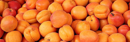 R.JELINEK PRUNUS ARMENIACA 24% 700ml